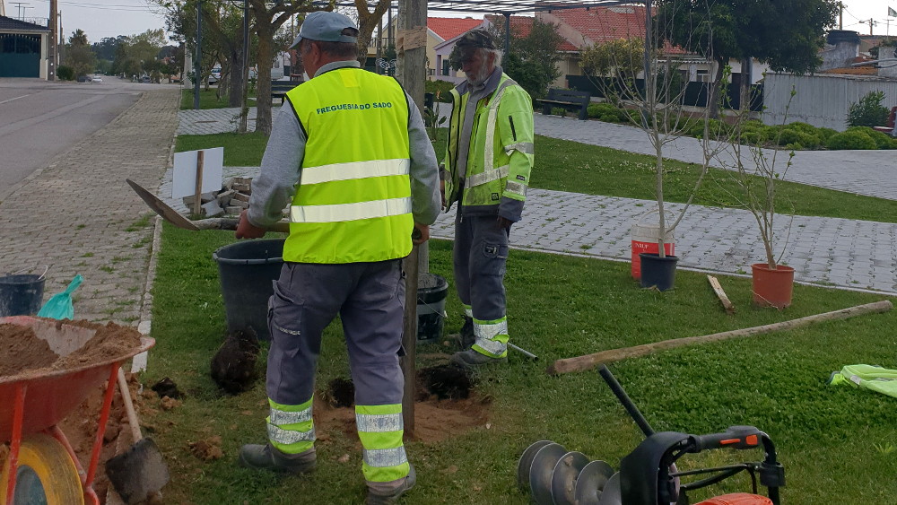 Plantação de árvores nos espaços públicos da freguesia